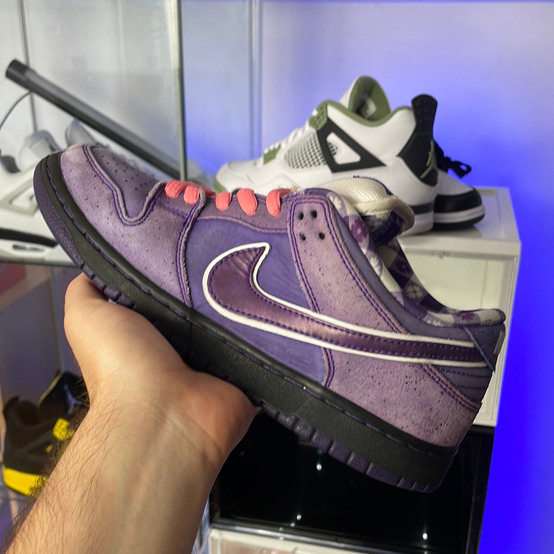 Purple lobster sb on 2025 feet