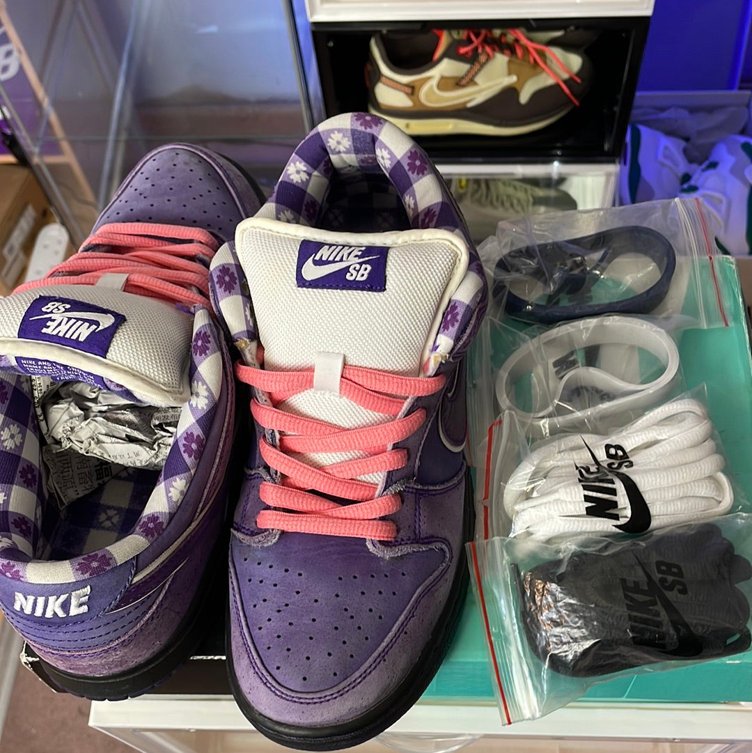 SB Nike Dunk Low Purple Lobster (used) – Kaikicks Store